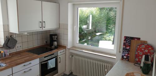 a kitchen with a sink and a window at Quiet business flat or vacation home in Bad Urach in Bad Urach