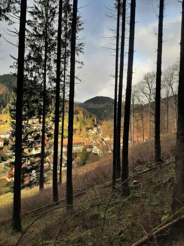 a view of a town through the trees at Harz hotel Iris in Sieber