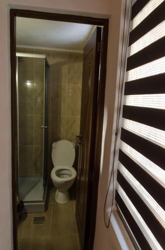 a bathroom with a toilet and a walk in shower at Cabana Valea Bradului in Nucşoara