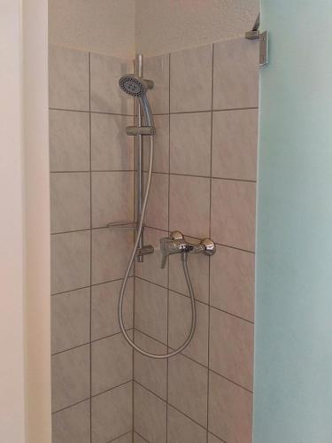 a shower with a shower head in a bathroom at Mola Land-Kajüten in Breege