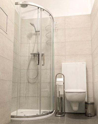 a bathroom with a shower and a toilet at Apartmán Efka in Deštné v Orlických horách