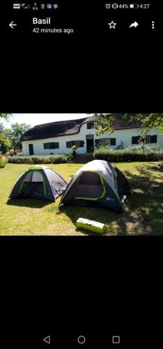 two tents sitting in the grass in front of a house at Klipfontein Rustic Farm & Camping in Tulbagh