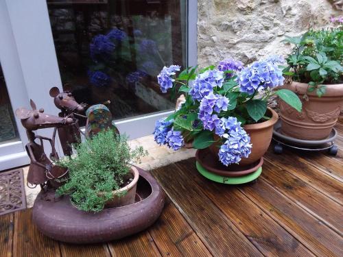 three potted plants sitting on a window sill at B&B de charme La Maison des 5 Temps in Ferrette