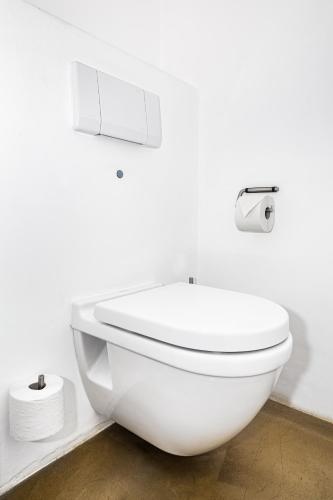 a white toilet in a bathroom with two rolls of toilet paper at Landgoed Kasteel de Hoogenweerth in Maastricht