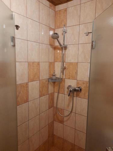a shower with a shower head in a bathroom at Restaurant a penzion Pod Draci skalou in Karlštejn