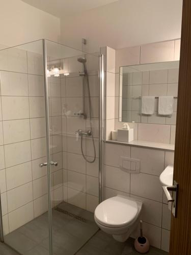 ein Bad mit einer Glasdusche und einem WC in der Unterkunft Hotel Buntrock in Holzminden