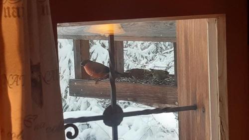 Chalet Teufelsteinblick im Winter
