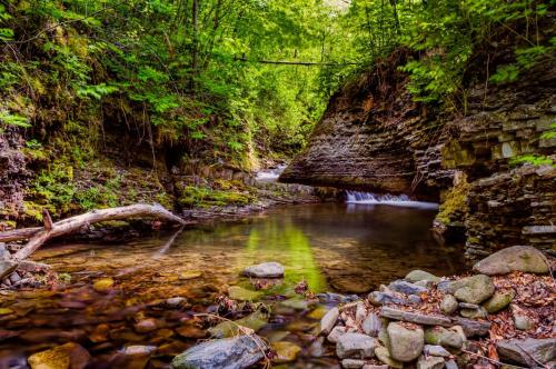 a creek in a forest with a bridge over it at Domki Pod Czarnym Groniem in Rzyki