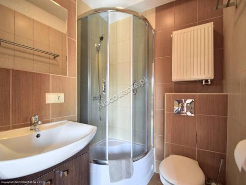 a bathroom with a shower and a sink and a toilet at Villa Zoja in Rowy
