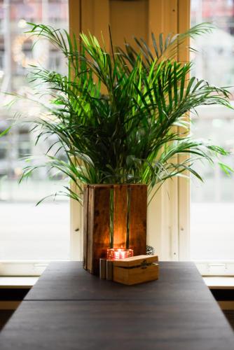 a potted plant sitting on top of a table at Hotel La Bohème in Amsterdam