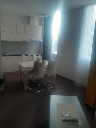 Kuchyň nebo kuchyňský kout v ubytování Hotel Usce