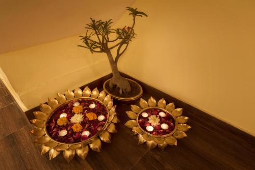 two plates of food on a table with a plant at Hotel Sethi Legacy in Haridwār