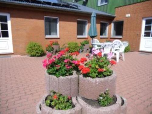 two concrete planters with flowers in front of a building at Ferienhof Budach in Handewitt