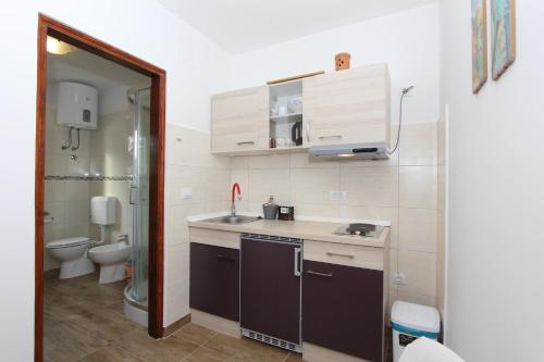 małą kuchnię ze zlewem i toaletą w obiekcie Apartment Gabriel w Rovinj