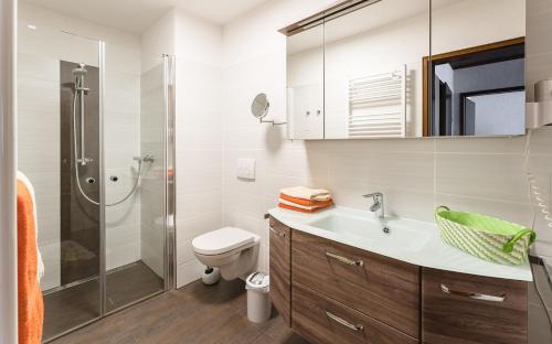 a bathroom with a shower and a sink and a toilet at Landhaus Frese in Willingen