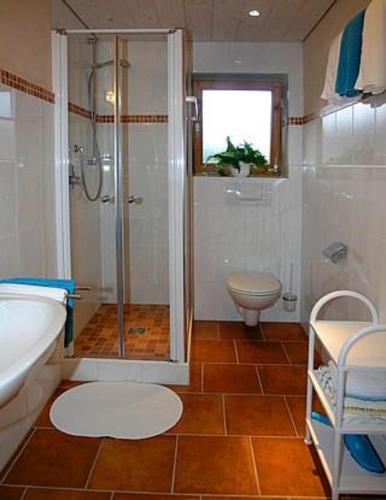a bathroom with a shower and a toilet and a sink at Haus Hornsteiner Barbara in Mittenwald