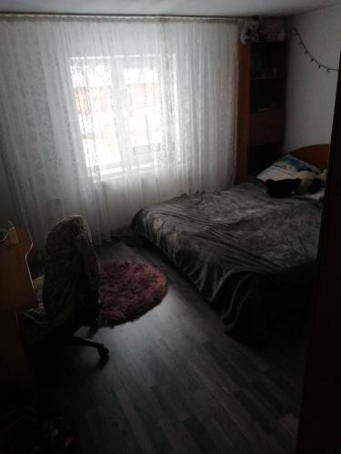 a bedroom with a bed and a chair and a window at Casa privată aproape de straja si pasul vâlcan in Vulcan