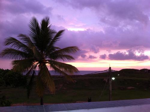 a palm tree in front of a sunset at Fort de 19 Villa - Galle Fort in Galle