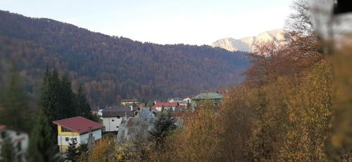 a small town in a valley with a mountain at Lucas Duplex in Azuga