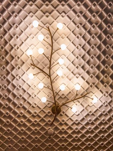 a plant on a ceiling with lights on it at Vila EKREM in Korçë