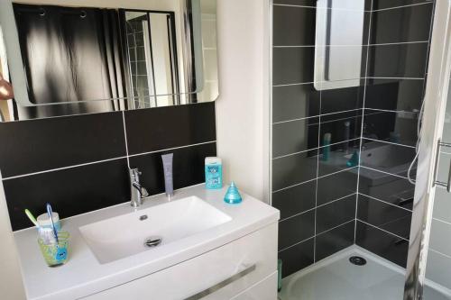 a bathroom with a white sink and a shower at Gite de la Digue in Wissant