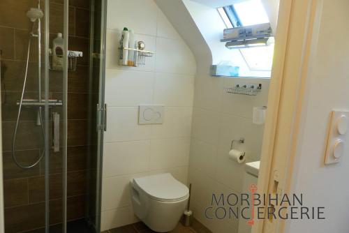a small bathroom with a toilet and a shower at Belle longère en campagne à Larmor Baden in Larmor-Baden