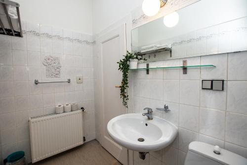 Koupelna v ubytování Apartmány Rossini