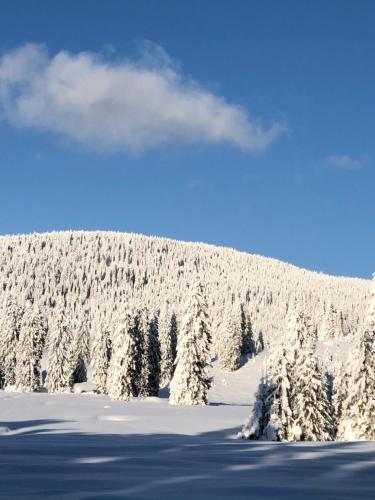 Foto dalla galleria di Popas Turistic Padis a Padis