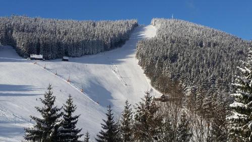 ハルラホフにあるPH Apartments Harrachov - Rýžovištěの山の木々が雪に覆われた坂