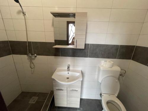 a bathroom with a toilet and a sink at Tulipán Vendégház in Miskolc