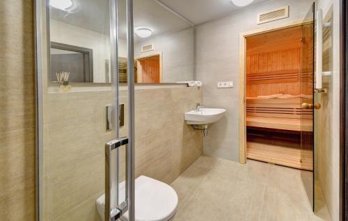 łazienka z prysznicem, toaletą i umywalką w obiekcie Apartmány Sunny Lipno w mieście Lipno nad Vltavou