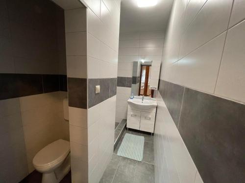 La salle de bains est pourvue de toilettes et d'un lavabo. dans l'établissement Tulipán Vendégház, à Miskolc