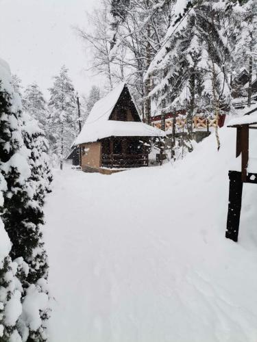 a house covered in snow with trees and bushes at DMK in Divčibare