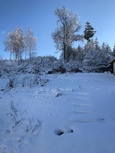 Το S-SUITE das Design-Ferienhaus im Schwarzwald τον χειμώνα