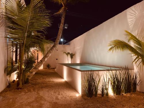 una piscina en la parte lateral de un edificio con palmeras en Apartments & Suites MADRE Holbox Self-Check IN, en Isla Holbox