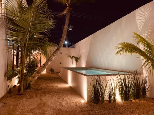 奥尔沃克斯岛Apartments & Suites MADRE Holbox Self-Check IN的棕榈树建筑的一侧的游泳池