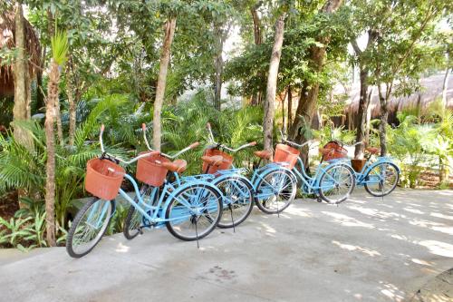 bicycles parked next to each other at Kimpton Aluna Resort Tulum, an IHG Hotel in Tulum