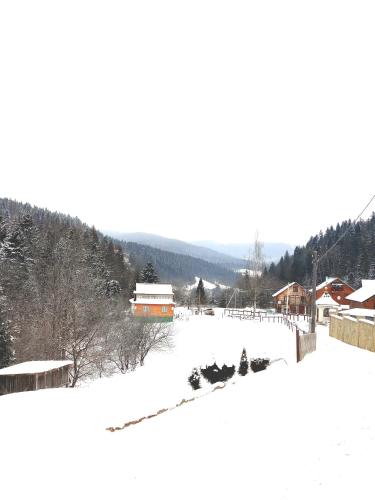 a group of animals walking in the snow at Manor "U Bervinovy" in Yaremche