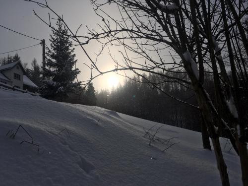 a snow covered hill with the sun in the background at Apartmány U tří bratrů in Bedřichov