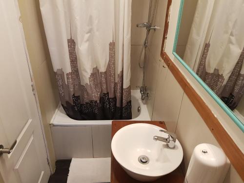 a bathroom with a sink and a shower curtain at Hostal Compass del Sur in Puerto Varas