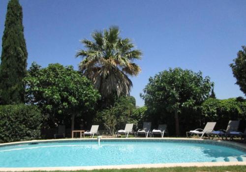 a swimming pool with chairs and a palm tree at Le Château d'Argens in Les Arcs sur Argens