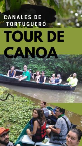 Huéspedes de Casa turtle Bogue