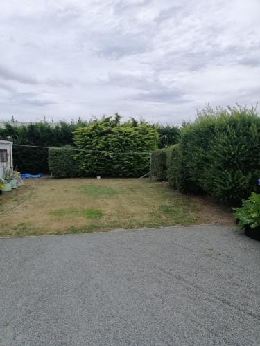 a yard with hedges and a field of grass at Rangiora Eco Holiday Park in Fernside
