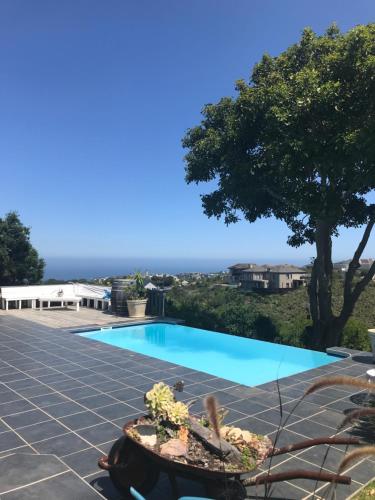 a swimming pool with a view of the ocean at Pezula Golf House in Knysna