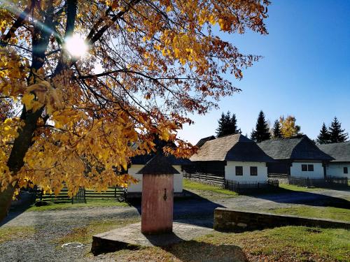 a tree with yellow leaves and a house with a post at Privat Mima in Liptovský Trnovec