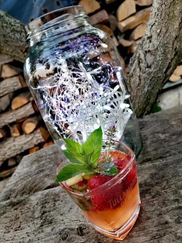a glass jar filled with a drink with a fruit at Privat Mima in Liptovský Trnovec