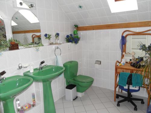 La salle de bains est pourvue d'un lavabo vert et de toilettes. dans l'établissement bed&breakfast in Flüh, à Hofstetten-Flüh