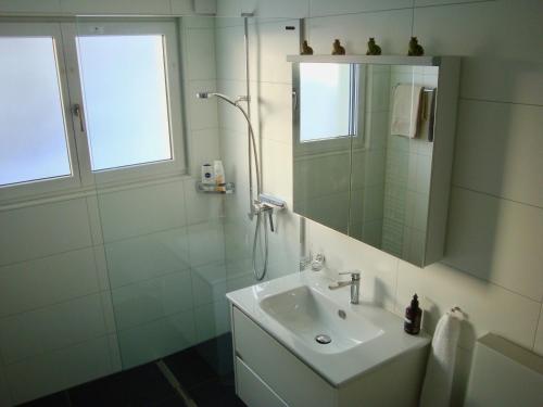 Casa Almis, Grindelwald photo 3