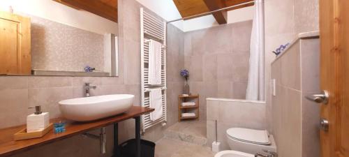 a bathroom with a white sink and a toilet at Camere B81 di Strain Neva in San Dorligo della Valle