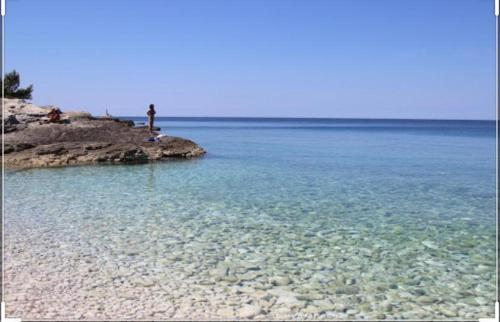 Φωτογραφία από το άλμπουμ του Villa Cube σε Premantura